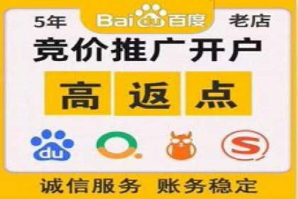详解百度推广开户：成功案例带你入门